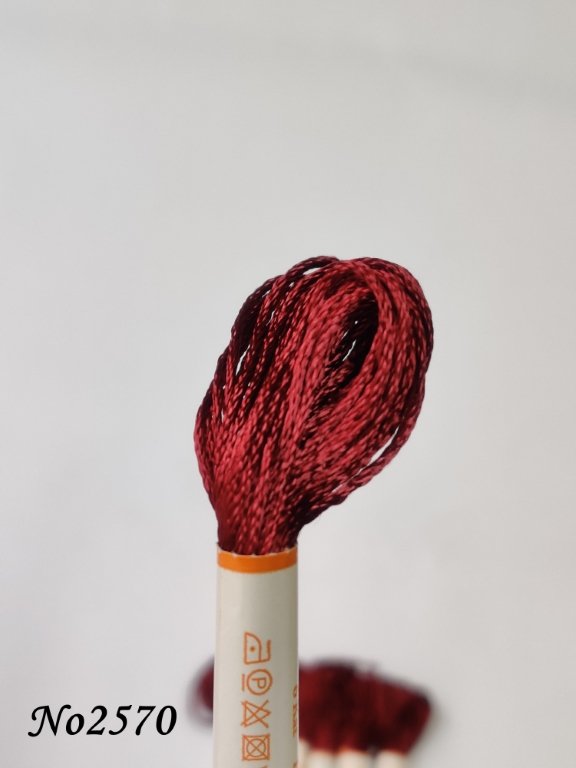 2570 (DMC3777) (1) (Medium)